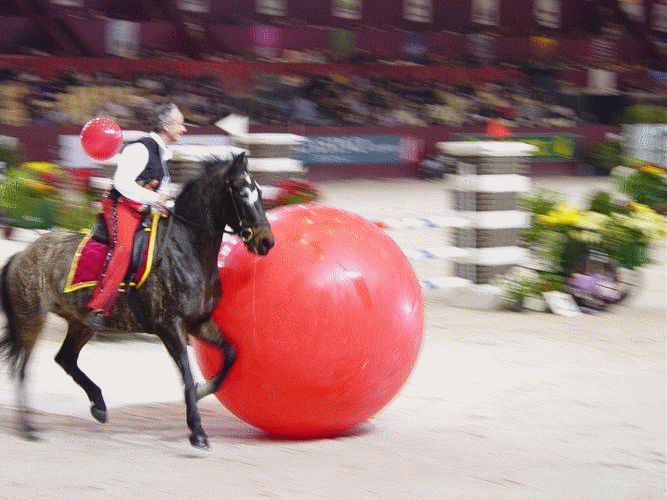 Cheval bringé on sale